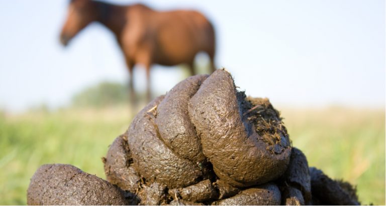 Speel speurder in die veld met dié 14 leidrade | Weg